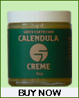 1Calendula_Lan